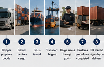 Trinvis shippingproces med konnossementer i international logistik